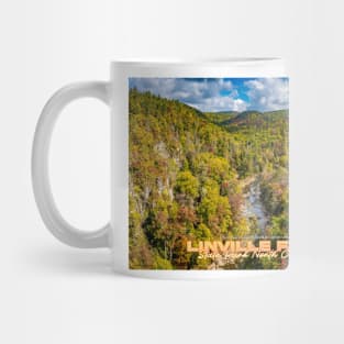 Linville Falls State Park North Carolina Mug